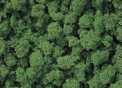 Busch 7362 Medium Green Bush Foam Flocking