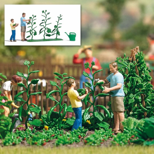 Busch_7877-Busch 7877 Récolte de concombres