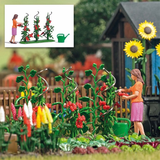 Busch_7876-Busch 7876 Récolte de tomates