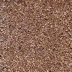 Busch 7063 Ballast brun clair pour voies Busch Busch_7063 - 1