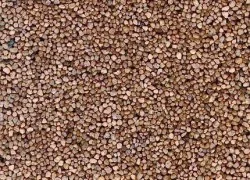 Busch 7063 Light brown track ballast