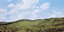 "Black Forest" backdrop - Faller 180514 - HO 1/87, N 1/160