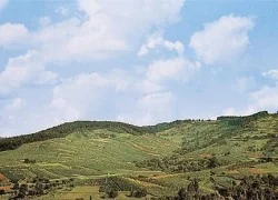 Fond de décor Oberstdorf - FALLER 180516 - HO 1/87, N 1/160