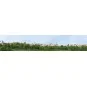 Fond de décor Petite ville - FALLER 180509 - HO 1/87, N 1/160 FALLER_180509-Fond de décor Petite ville - FALLER 180509 - HO 1/87, N 1/160