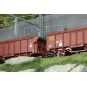 Set of 2 roll-top wagons, type Ts, SNCF - HO - Roco 6600251 ROCO_6600251-Set of 2 roll-top wagons, type Ts, SNCF - HO - Roco 6600251