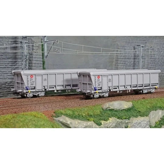 WBSE-010-Ree Modeles Sud-Express WBSE-010 Set of 2 TAMS Hopper Wagons, Grey, Y25 Bogie, ERMEWA