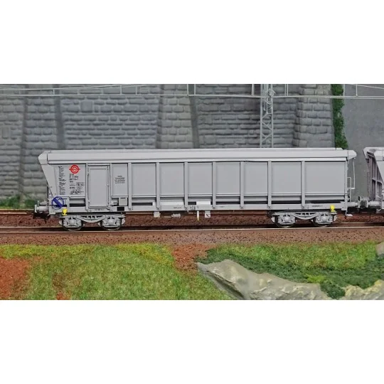 WBSE-010-Ree Modeles Sud-Express WBSE-010 Set of 2 TAMS Hopper Wagons, Grey, Y25 Bogie, ERMEWA