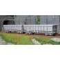Ree Modeles Sud-Express WBSE-010 Set of 2 TAMS Hopper Wagons, Grey,... WBSE-010-Ree Modeles Sud-Express WBSE-010 Set of 2 TAMS Hopper Wagons, Grey, Y25 Bogie, ERMEWA