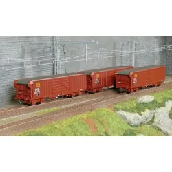 Coffret de 3 wagons Taems à toit roulant SNCF époque IV - Roco 6600285 - H0