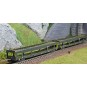 HN4347-Arnold HN4347 Set of 2 car carriers, DD DEV 66, green livery, white cap logo, N scale