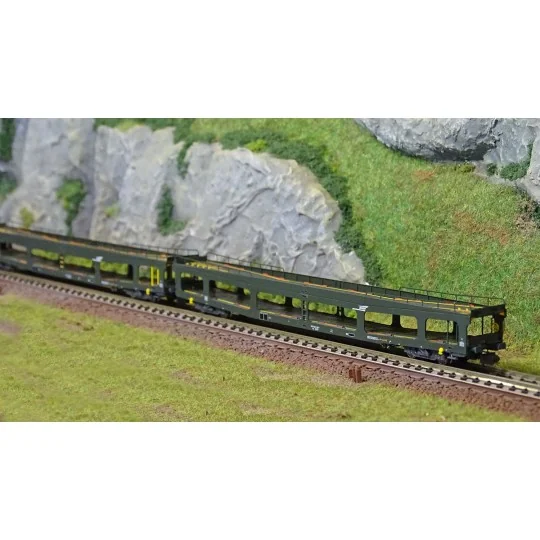 HN4347-Arnold HN4347 Set of 2 car carriers, DD DEV 66, green livery, white cap logo, N scale