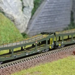 Arnold HN4348 Set of 2 car transporters, DD DEV 66, green livery, c...