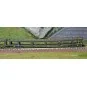 Arnold HN4348 Set of 2 car transporters, DD DEV 66, green livery, c... HN4348-Arnold HN4348 Set of 2 car transporters, DD DEV 66, green livery, carmillon logo, N scale