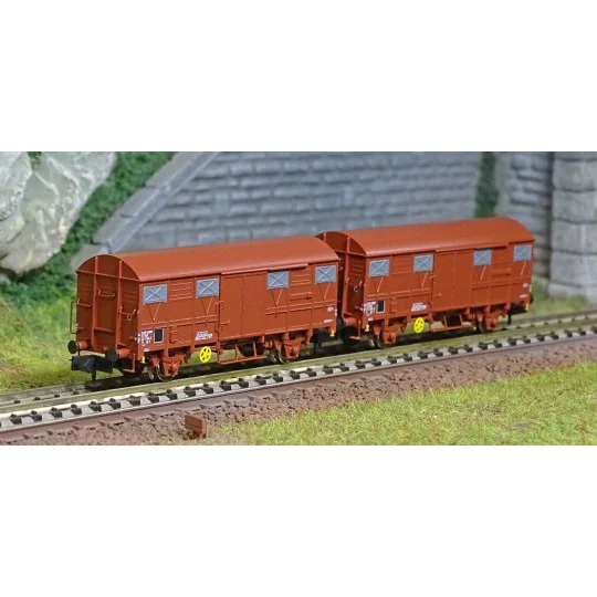 HN6516-Arnold HN6516 Set de 2 wagons couverts à essieux, type G4 Permanex, SNCF, échelle N