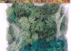 Busch 7106 Iceland moss lichen