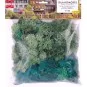 Busch_7106-Busch 7106 Lichen mousse d'islande