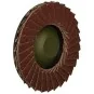Disque à lamelles en corindon grain 100 pour LHW Proxxon Proxxon PRX-28590 - 2 PRX-28590-Disque à lamelles en corindon grain 100 pour LHW Proxxon - PRX-28590