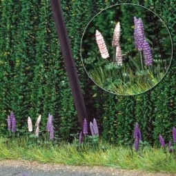 Busch 1217 Wild Lupins - Busch - BUSCH_1217