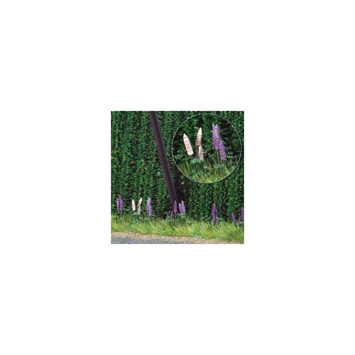 Busch 1217 Lupins sauvages Busch Busch_1217 - 1