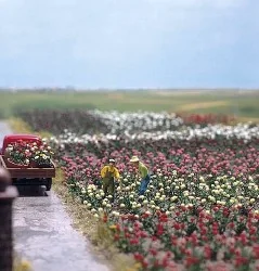 Busch 1205 Kit de 120 roses Busch Busch_1205 - 1