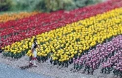 Busch 1206 Kit of 120 tulips - Busch - BUSCH_1206