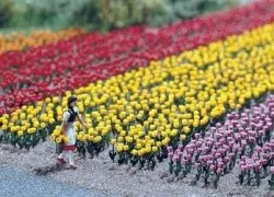 Busch 1206 Kit of 120 tulips - Busch - BUSCH_1206