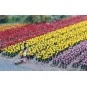 Busch 1206 Kit de 120 tulipes Busch Busch_1206 - 1 BUSCH_1206-Kit de 120 tulipes - Busch 1206