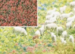 Busch 7356 Foam flocking, imitation flowers