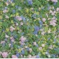 Busch 7359 Foam flocking, imitation flowers - Busch - Busch_7359 Busch_7359-Busch 7359 Foam flocking, imitation flowers - Busch_7359