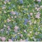 Busch 7359 Foam flocking, imitation flowers - Busch_7359 Busch_7359-Busch 7359 Foam flocking, imitation flowers - Busch_7359