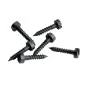 MiniTrix 66548 Vis de fixation de rails (x150), voie N Trix Trix_66548 - 1 Trix_66548-MiniTrix 66548 Vis de fixation de rails (x150), voie N