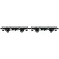 WB-600-Ree modeles WB600 Set de 2 wagons Plats OCEM 29, Gris PLM, NNTouw Frein à levier, Roues rayons
