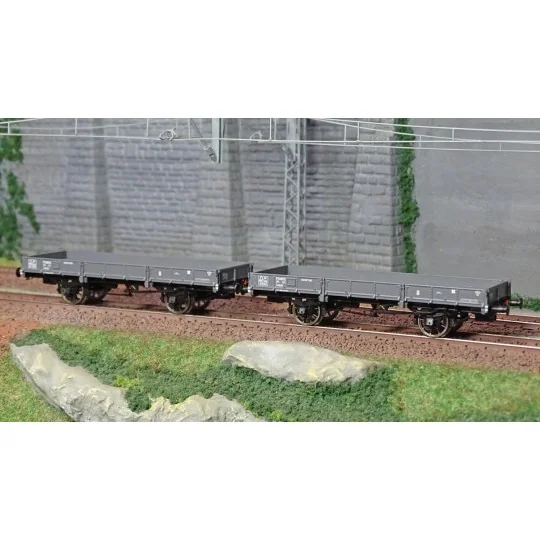 WB-600-Ree modeles WB600 Set de 2 wagons Plats OCEM 29, Gris PLM, NNTouw Frein à levier, Roues rayons