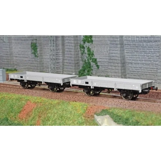 WB-604-Ree Models WB604 Set of 2 OCEM 29 Flat Wagons, Gray MIDI PLM, NNTouw Lever Brake, Spoked Wheels