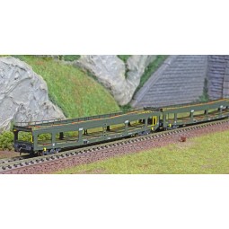 Arnold HN4411 Set of 2 car carriers, DD DEV 66, green livery, white...