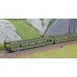 Arnold HN4411 Set of 2 car carriers, DD DEV 66, green livery, white... HN4411-Arnold HN4411 Set of 2 car carriers, DD DEV 66, green livery, white framed logo, N scale