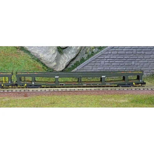 HN4411-Arnold HN4411 Set of 2 car carriers, DD DEV 66, green livery, white framed logo, N scale