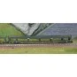 Arnold HN4411 Set of 2 car carriers, DD DEV 66, green livery, white... HN4411-Arnold HN4411 Set of 2 car carriers, DD DEV 66, green livery, white framed logo, N scale