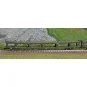 Arnold HN4412 Set of 2 car carriers, DD DEV 66, green livery, white... HN4412-Arnold HN4412 Set of 2 car carriers, DD DEV 66, green livery, white cap logo, N scale