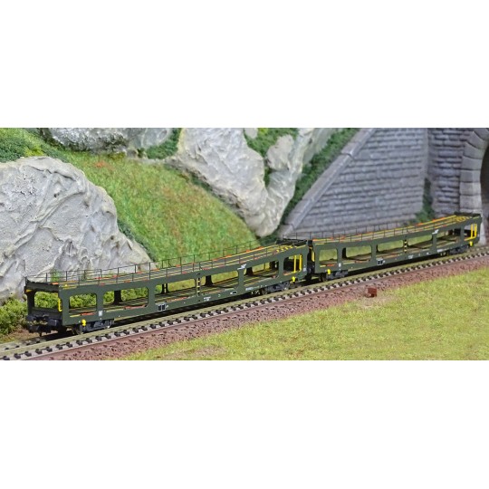 HN4412-Arnold HN4412 Set of 2 car carriers, DD DEV 66, green livery, white cap logo, N scale
