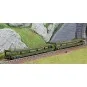 Arnold HN4412 Set of 2 car carriers, DD DEV 66, green livery, white... HN4412-Arnold HN4412 Set of 2 car carriers, DD DEV 66, green livery, white cap logo, N scale