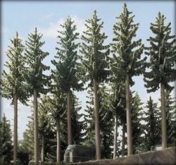Busch 6137 Blister pack of 2 fir trees, 160 and 175 mm tall - Busch...