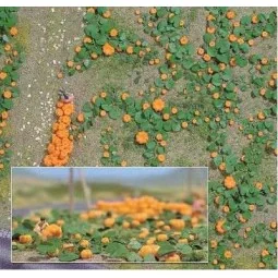 Busch 1201 Pumpkin Field - Busch_1201