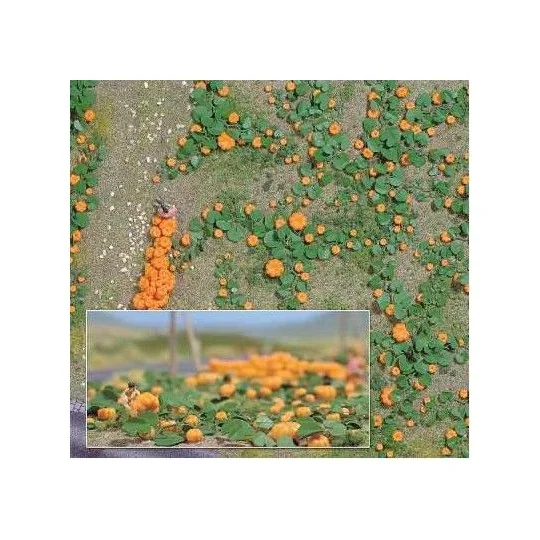 Busch_1201-Busch 1201 Pumpkin Field