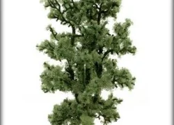 Busch 6969 Beech, 180 mm