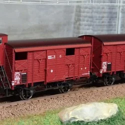 - Ree Modeles - WB-696