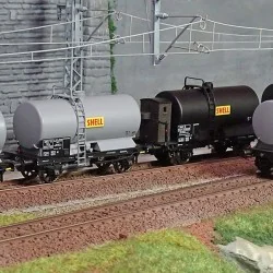 - Ree Modeles - WB-722