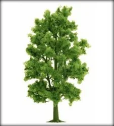 Busch 6779 Red beech, height 210 mm - Busch - Busch_6779