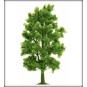 Busch 6779 Red beech, height 210 mm - Busch - Busch_6779 Busch_6779-Busch 6779 Red beech, height 210 mm - Busch_6779