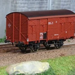 - Ree Modeles - WB-736